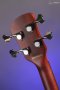 Spector Euro 4 RST - Sienna Stain Matte
