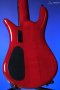 Spector Euro 5 CST - Natural Red Burst Gloss