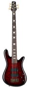 Spector Icon NS-5 Bolt-On Black Cherry Gloss
