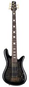 Spector Icon NS-5 Bolt-On Black Stain Gloss