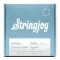 Stringjoy Orbiters | Balanced Light Gauge (10-48) Coated Nickel Wound Electric Guitar Strings