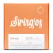 Stringjoy Foxwoods | Light Gauge (12-54) Coated Phosphor Bronze Acoustic Guitar Strings