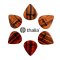 Thalia 651 Shape - 1.0mm Rosewood 3.0 Pick - 6pc Pack