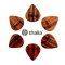 Thalia 651 Shape - 1.5mm Rosewood 3.0 Pick - 6pc Pack