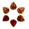 Thalia 651 Shape - X Heavy 1.5mm Santos Rosewood Picks - 6pc Pack