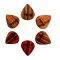 Thalia 651 Shape - X Heavy 1.5mm Santos Rosewood Picks - 6pc Pack