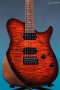 TNT Custom 24