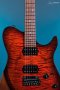 TNT Custom 24