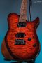 TNT Custom 24