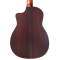 Furch Guitars Pioneer-ER a Engelmann spruce / Indian Rosewood