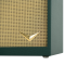 Magnatone Starlite 1x8" Valve Amp Combo in Green