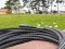 Pig Hog Black & White Woven Mic Cable, 20ft XLR