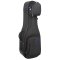 RB Expedition Double Electric Guitar Case