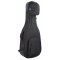 RB Expedition Acoustic Dreadnought Guitar Case