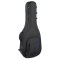 RB Expedition Small Body Acoustic Case