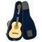 RB Expedition Small Body Acoustic Case