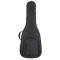 RB Expedition Semi Hollow Electric Case