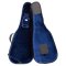RB Expedition Semi Hollow Electric Case