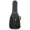 RB Expedition Semi Hollow Electric Case