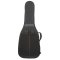 RB Expedition Semi Hollow Electric Case
