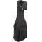 RB Expedition Semi Hollow Electric Case
