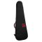 Reunion Blues Aero Series Bass Guitar Case
