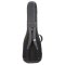 Reunion Blues Continental Voyager Double Electric Bass Guitar Case