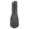 Reunion Blues Continental Voyager Double Electric Bass Guitar Case