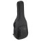 Reunion Blues  Voyager Small Body Acoustic Case