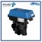 “PRAHER” Aquastar Easy II 2" Side Mount  Automatic Multiport Valve**No Stock Delivery Time30-60 Days