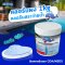 Chlorine T.C.C.A 90% POWDER 1  KG WhalePool