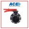 ACE BUTTERFLY VALVE 6" LEVER ARCH HANDLE FLANGED+SCREWS+NUTS