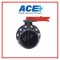 ACE BUTTERFLY VALVE 8" LEVER ARCH HANDLE FLANGED+SCREWS+NUTS
