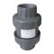 สปริงเช็ควาล์ว/Astral pool /Cepex/ Spring Check Valve/ 2'' Grade B