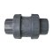 สปริงเช็ควาล์ว/Astral pool /Cepex/ Spring Check Valve/ 2'' Grade B