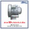 ปั๊มลม 1 HP/220V/1PH Commercial Air Blower GREENCO เกรด B สภาพ 90% ไม่มีกล่อง Original รับประกัน 6 เดือน