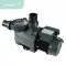 ปั๊ม WL-KP Pool Pump: 220V/50Hz, 0.33 HP SKU : WL-KP256