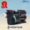 ปั๊ม Pentair 5PXF VSF 3 HP/ 2.2 KW 220V Variable Speed Pumps
