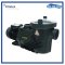 ปั๊ม EPH200 2 HP/3PH EMAUX