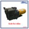 ปั๊ม PT3002-C ปั๊มสระว่ายน้ำ 3 HP/3hase/380V  เกรด c   รับประกัน 3 เดือน