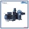 Pump SS120 1.2HP/220V/1PH  Emaux