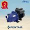 ปั๊ม Pentair BLUEFLO Booster 1 HP/ 0.75 KW 220V