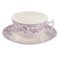 Spode Delamere Bouquet Teacup and Saucer