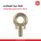 สลักเกลียวรูปแบบห่วง Eye bolt M-8