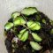 Hoya kanyakumariana  (Variegated)
