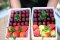 Mini Mix Berry B
