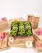 Special Shine Muscat Giftset
