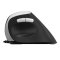 MOUSE RAPOO EV200 BLACK (SILENT) OPTICAL MOUSE (EV200-BK) เม้าส์เพื่อสุขภาพ เสียงคลิกเบา