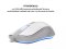 Mouse HP G100