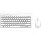 Keyboard Mouse Rapoo 8000M